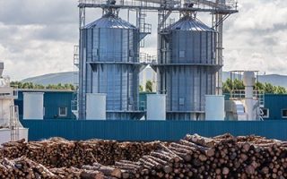 Sustainability of Wood Pellets