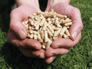 Wood Pellets